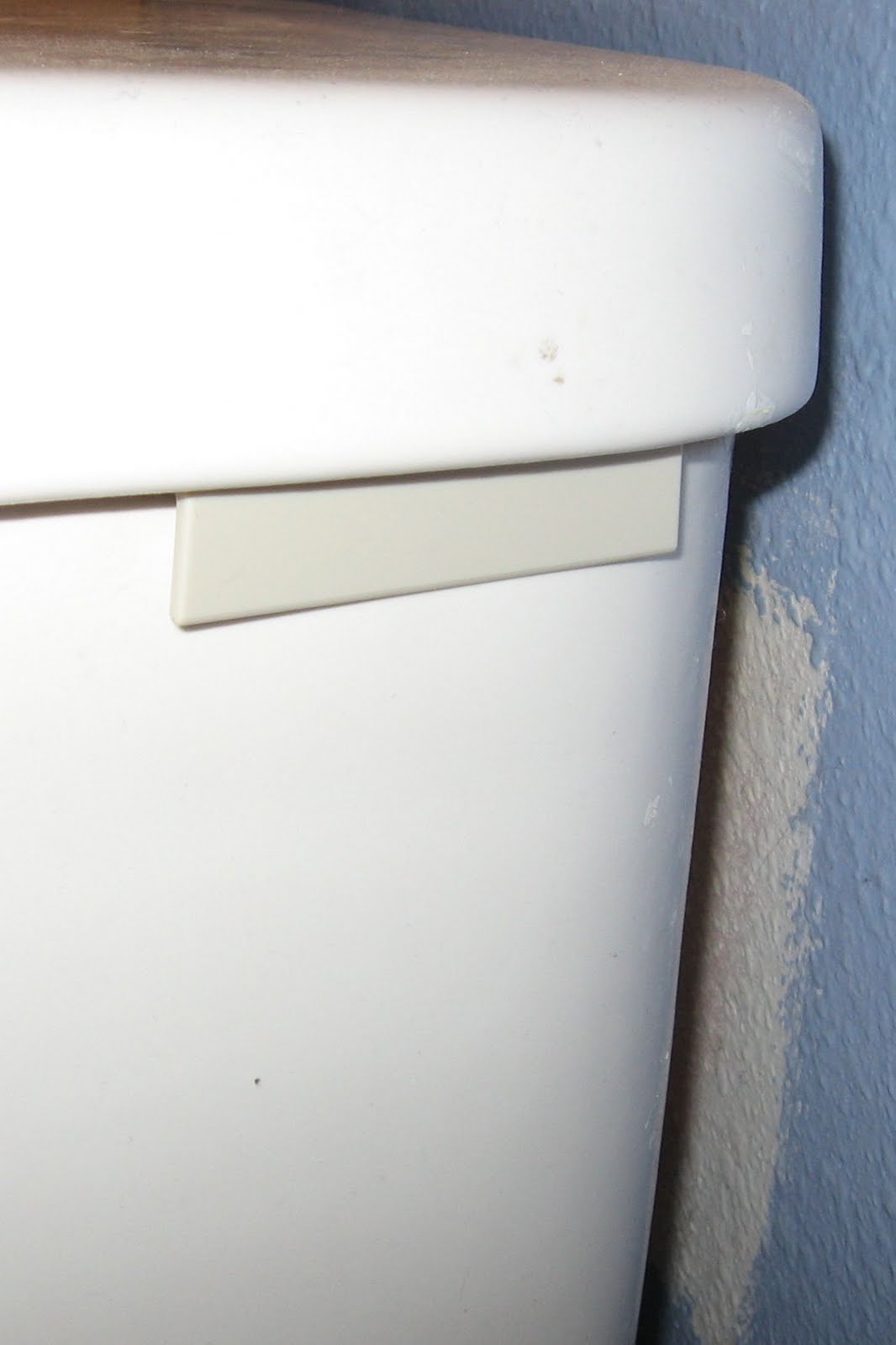 Convert a regular toilet to lowflow and save water • Brown Thumb Mama