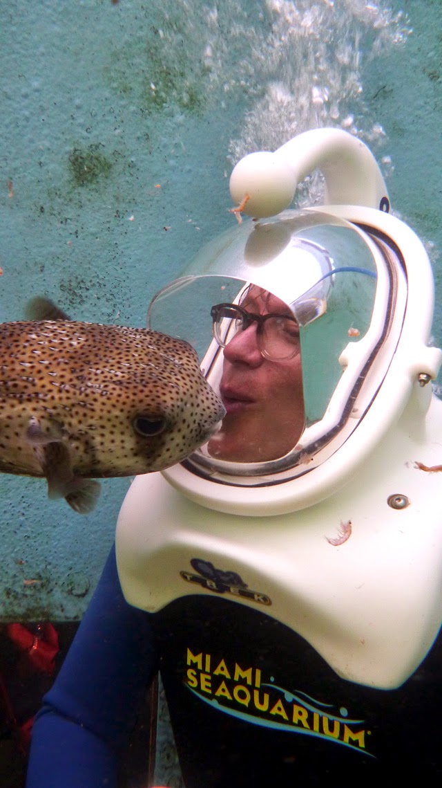 Sub Sea Systems Our World SSS Attends the 21st Annual FCCA