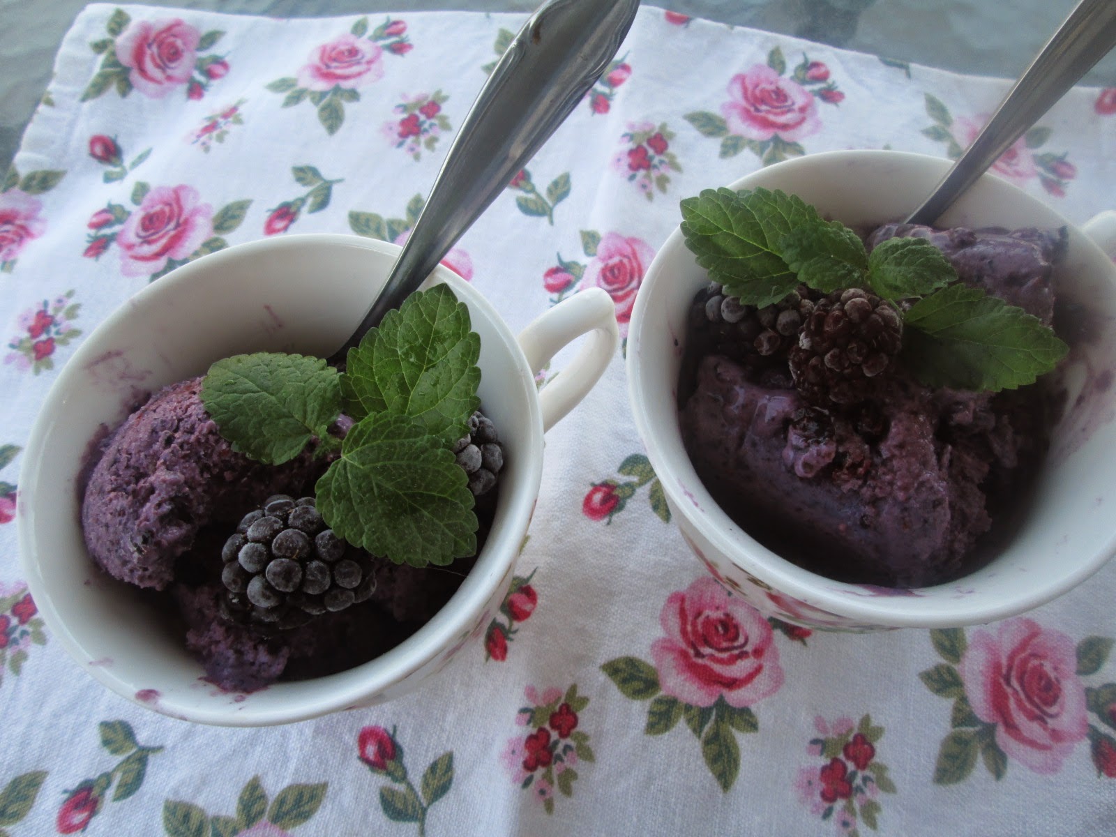 blackberry and yogurt ice cream (helado de mora con yogurt)