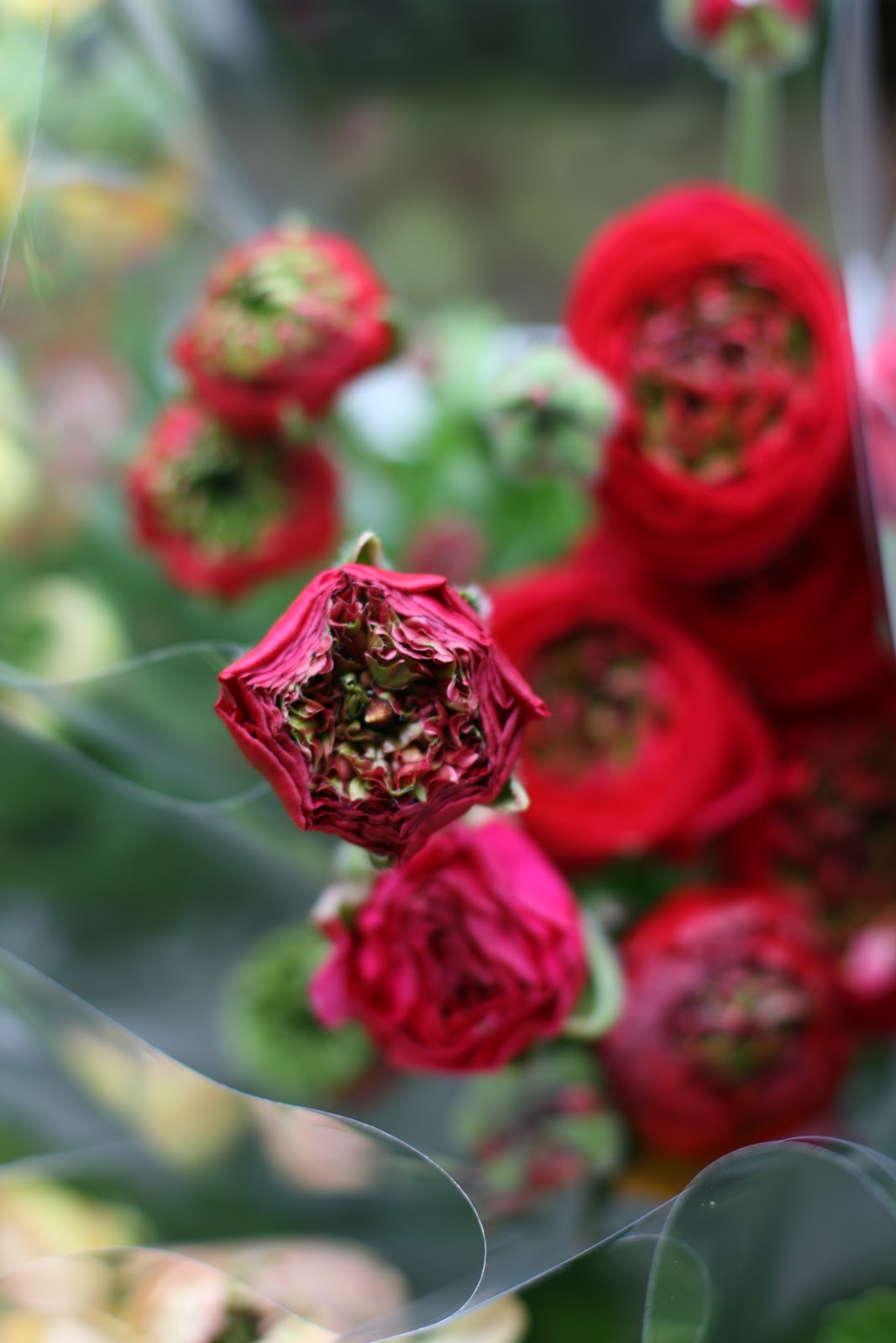 "super green" love - Floret Flowers