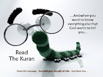 Read the Quran
