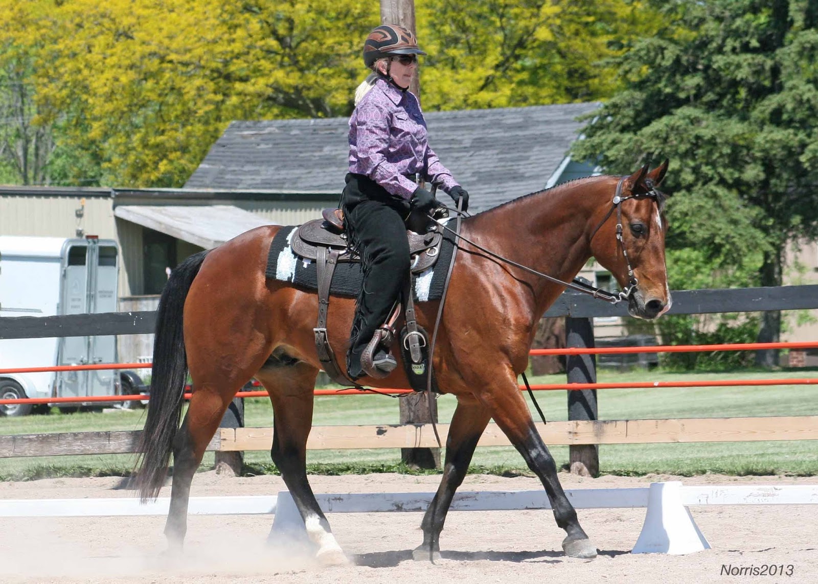 Elaine Ward Western Style Dressage Acceptable Outlines for Basic Level