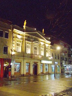 Vladičanski dvor