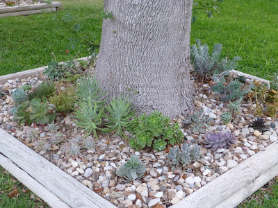 Front Yard Low Maintenance Succulent Garden - 20 Low Maintenance Front Yard Landscaping Ideas