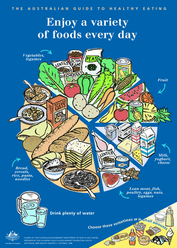 Australian Guide To Healthy Eating Pie Chart