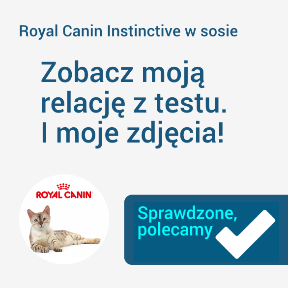 Moja relacja z testu !