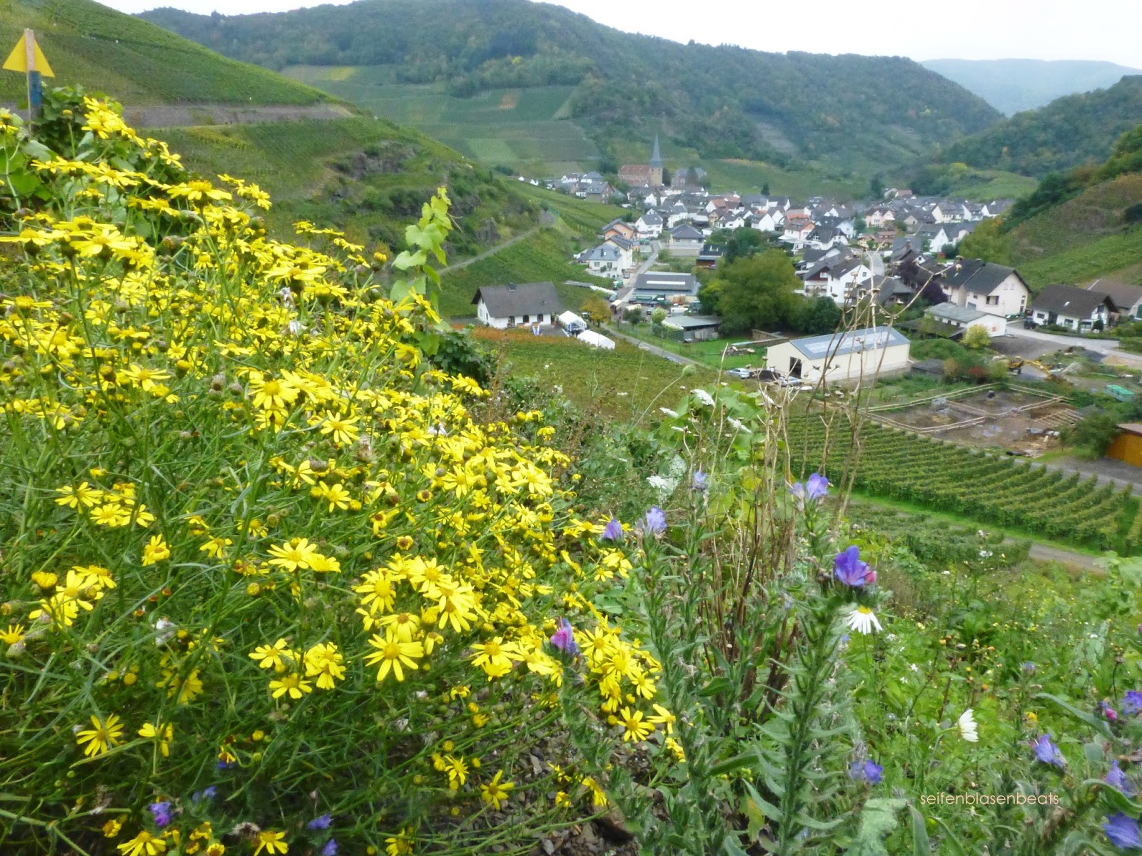 Travel The Door Into Promised Lands