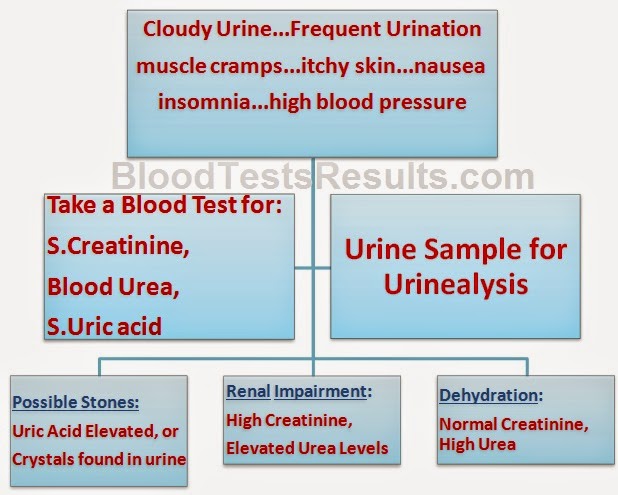 Lab tests for renal failure, kidney stones, dehydration 