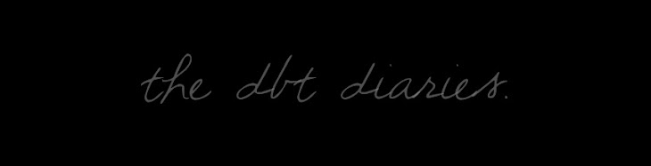 the dbt diaries