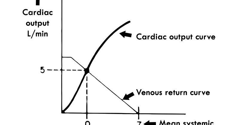venous return