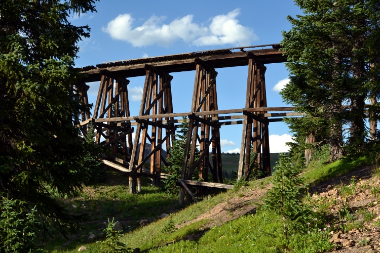 What's That! in Colorado Rifle Sight Notch