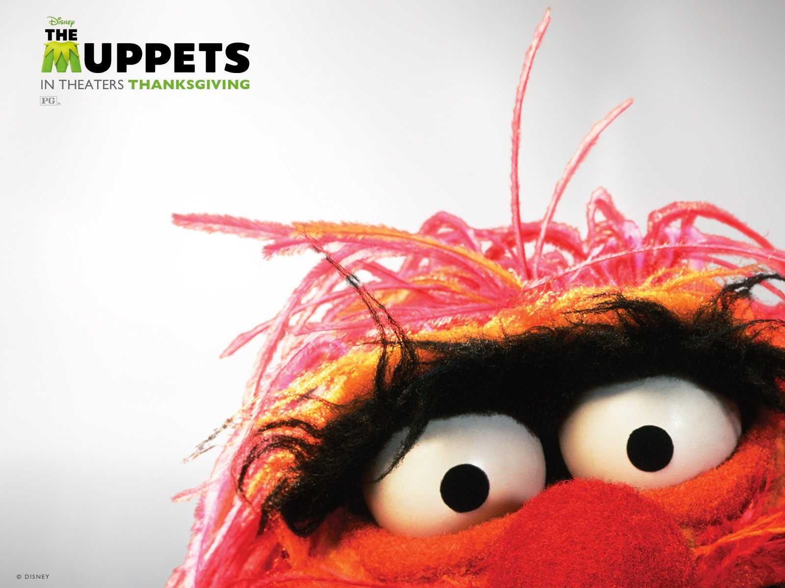 The Muppets Wallpaper (Page 2)