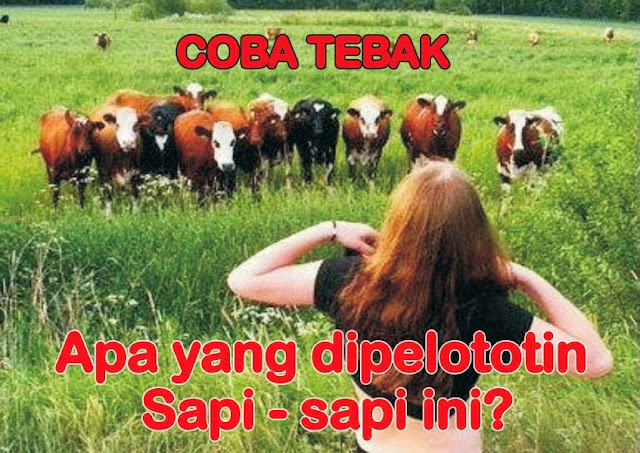 Awas! Jawaban dari 10 Tebak-Tebakan ini Bisa Membuat Perutmu Ngakak Sakit!