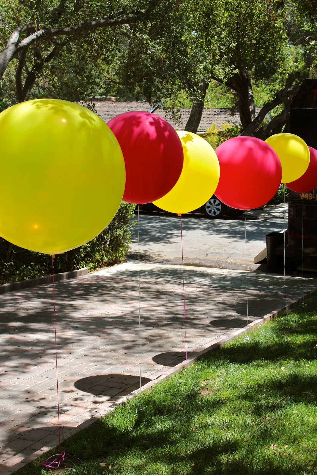 bloom designs Lollipops and Lemonade