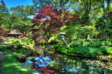 Breeze Me: The Serenity of Japanese Gardens