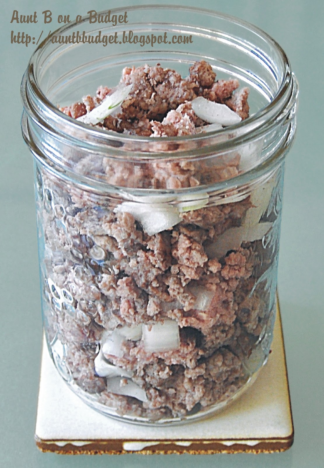 Aunt B on a Budget Ground Beef Canned in Beer