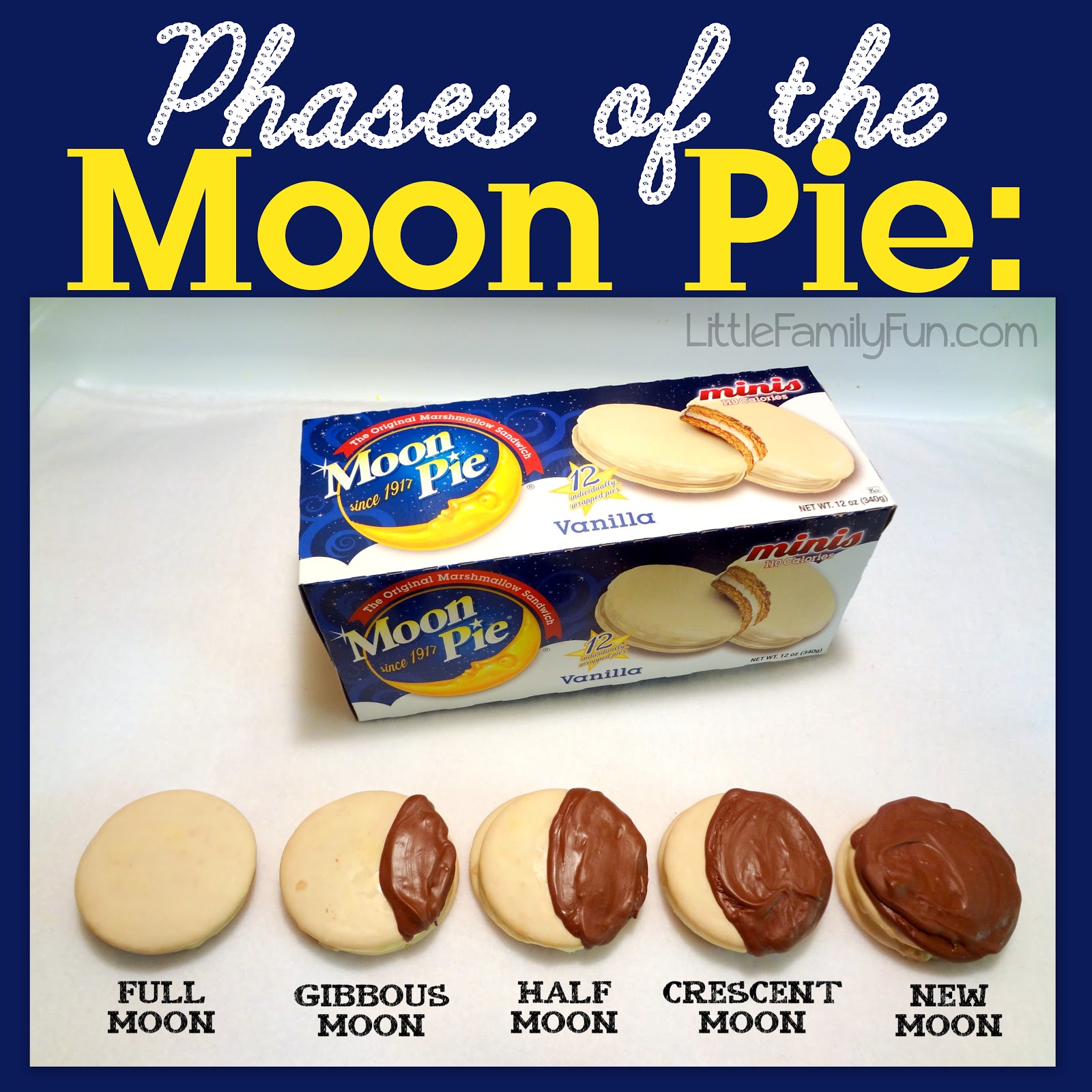 Phases of the Moon Pie