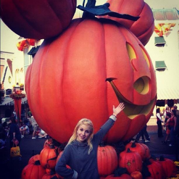 sex drogs and rock n roll