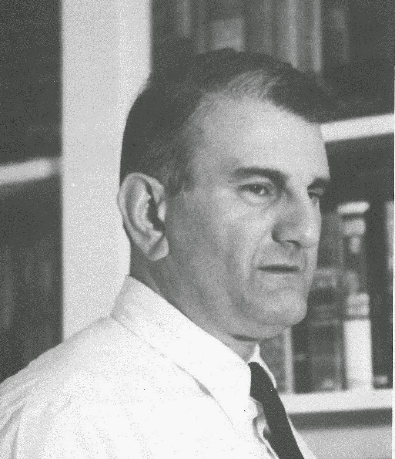 Harry mark petrakis critical essays image