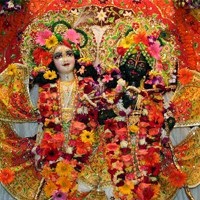 http://www.livedarshan.net/vrindavan.php