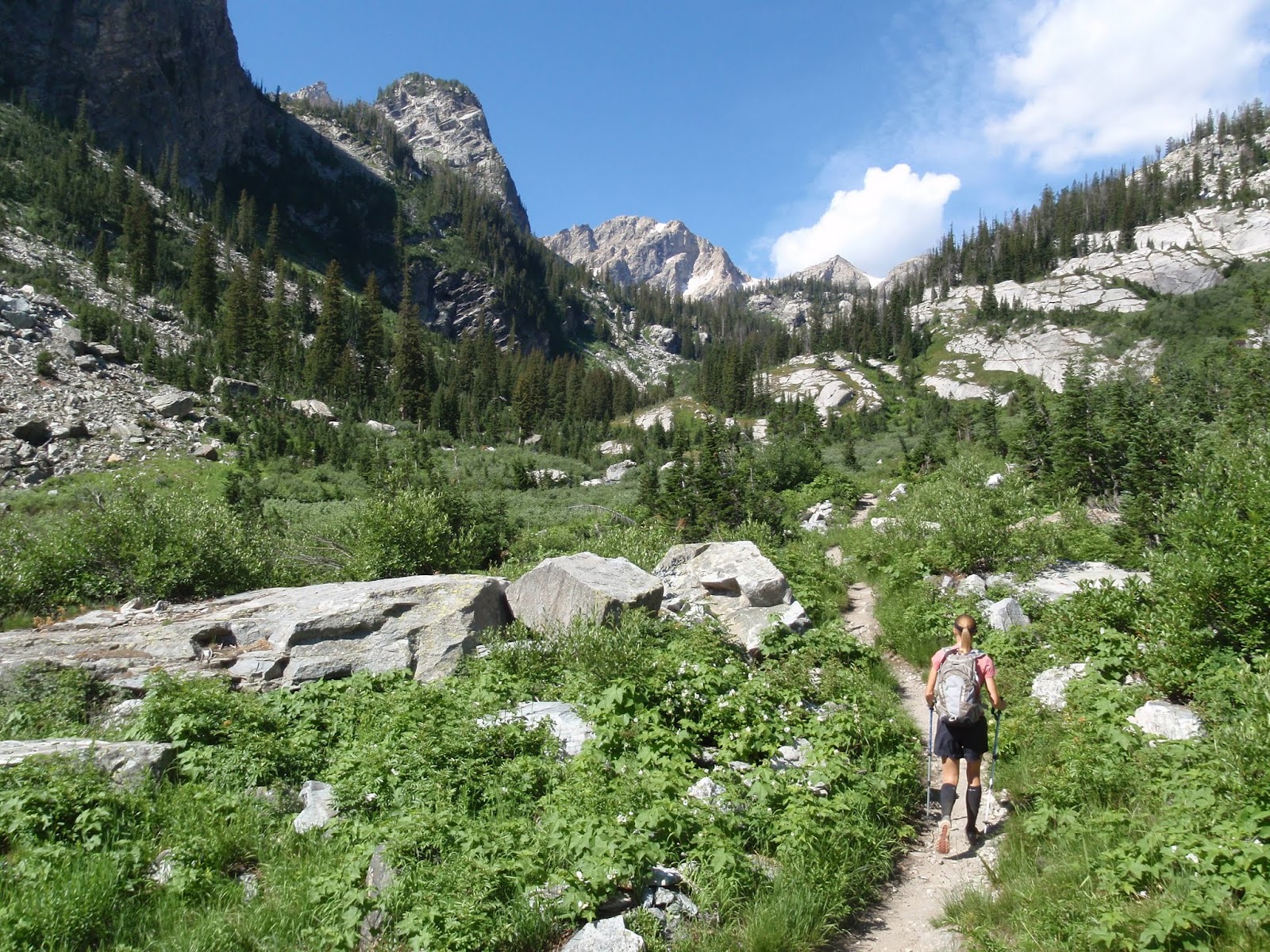 wasatch and beyond Hiking the PaintbrushCascade Canyon Loop