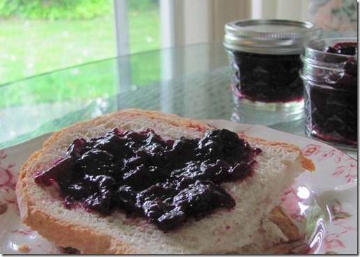Make Fresh Blueberry Preserves Without Sugar and Without Pectin