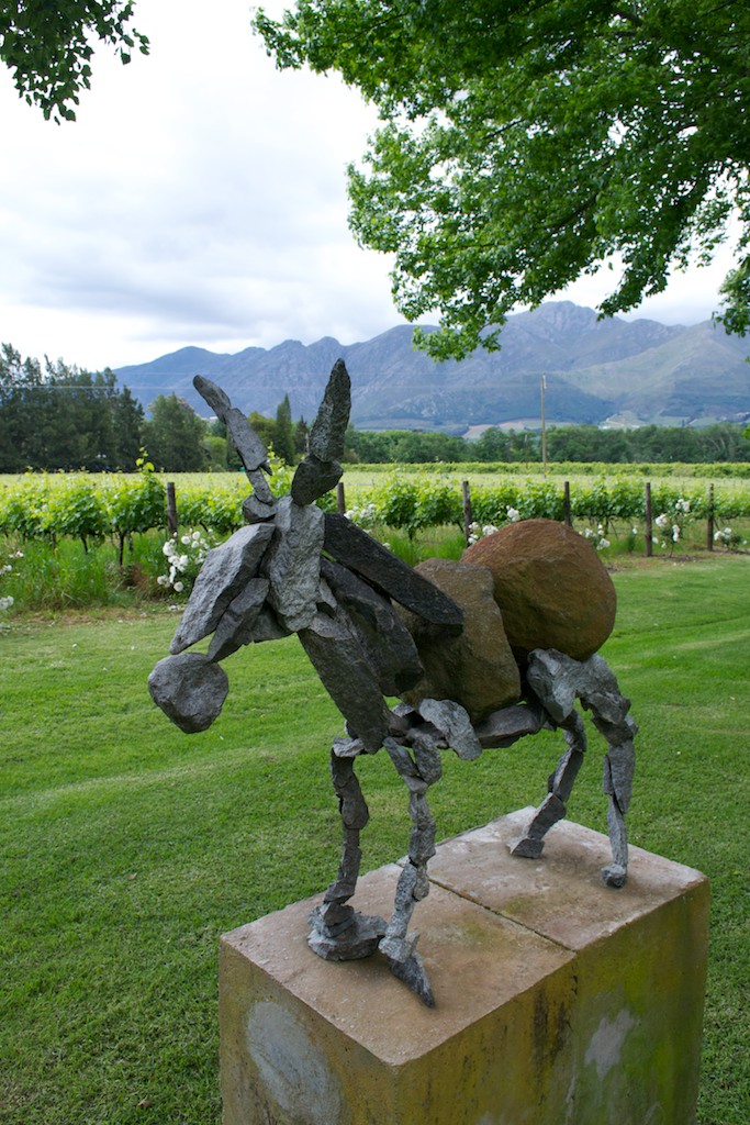 Driftwood Ramblings La Brie [Franschhoek Open Garden 2011]