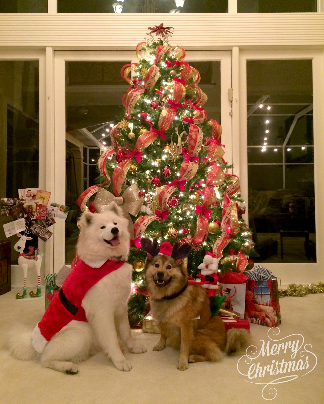 Kati Heifner Homemade Dog Paw Print Ornaments Salt Dough Recipe