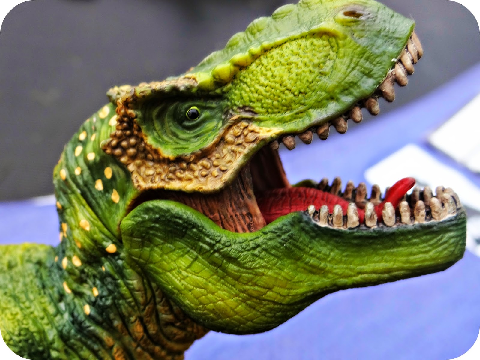 Life Unexpected: Leo and his bucketful of Schleich Dinosaurs