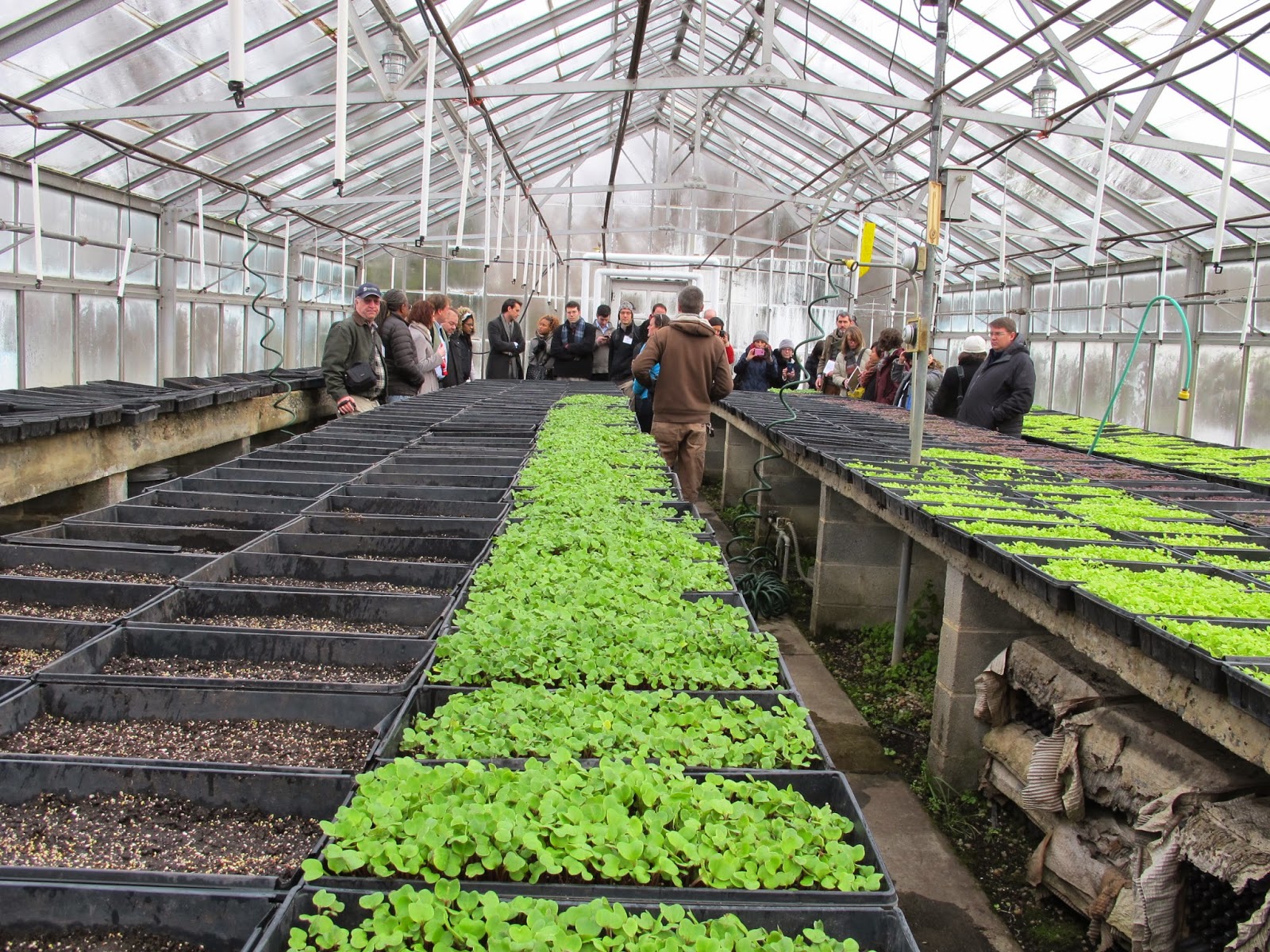 Community Architect Urban Farming A Passing Fashion Or A Viable