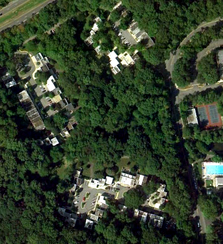 hickory cluster trees