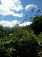 Der Vulkan Tungurahua