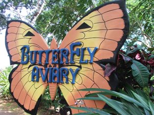 Butterfly Aviary