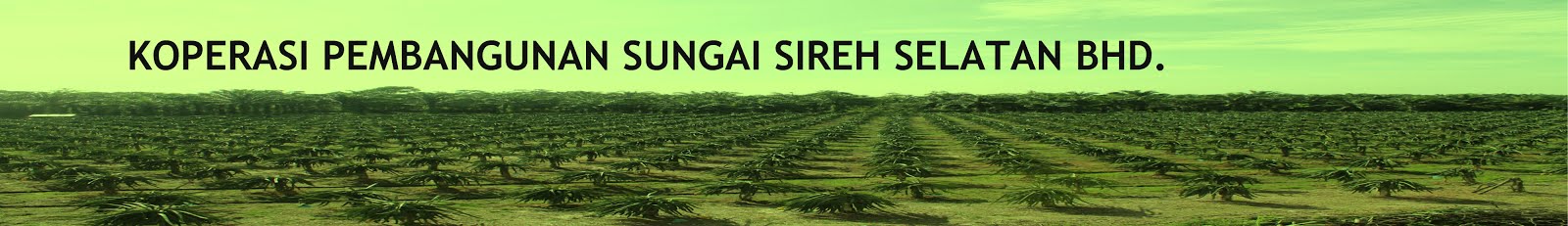 koperasi pembangunan sungai sireh selatan bhd