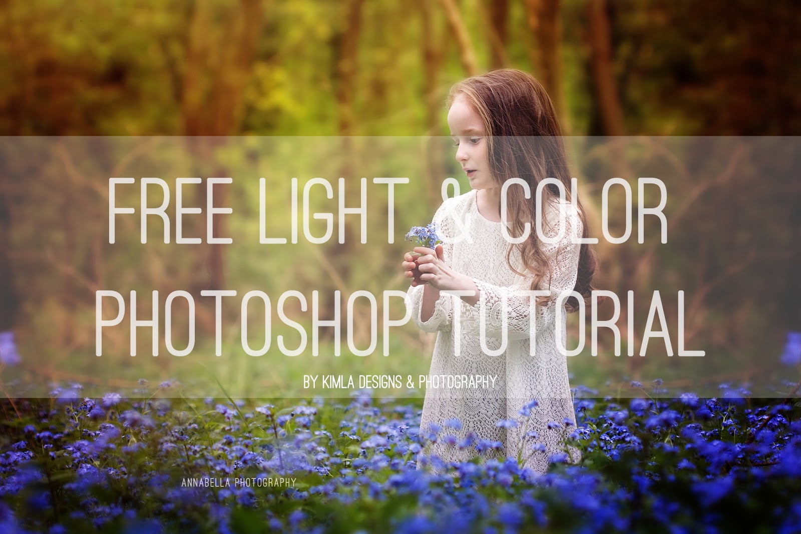 How to Use Color & Light Photo Overlays Free Tutorial Kimla Designs and Photography