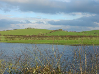 Aldcliffe drumlins