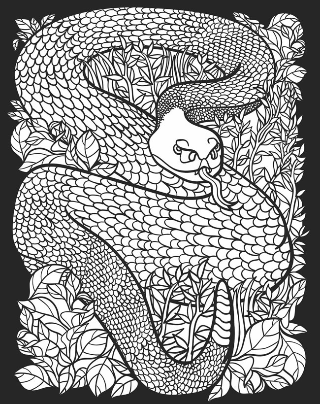 Childhood Education: Nocturnal Animals Coloring Pages Free Colouring  Pictures