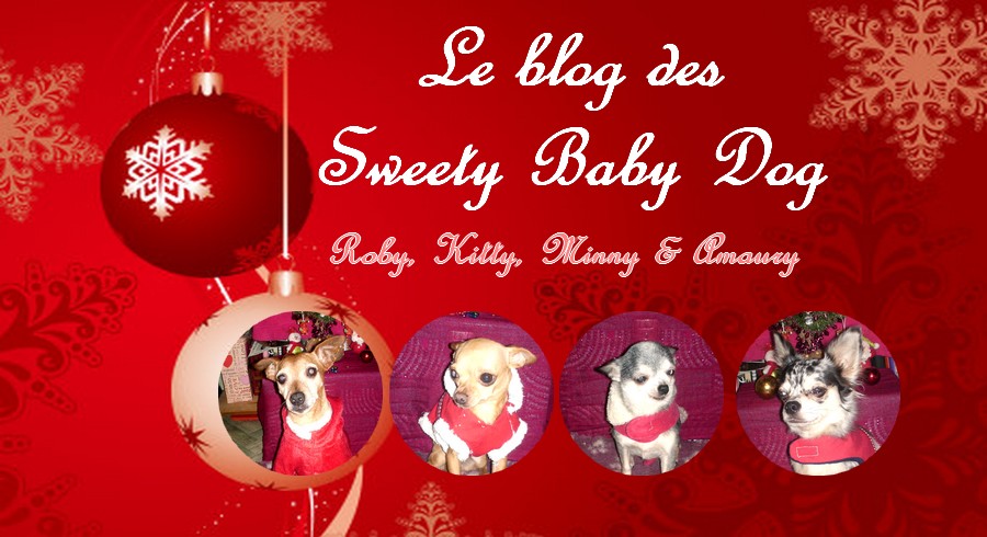 Les Sweety Baby Dog de Amy