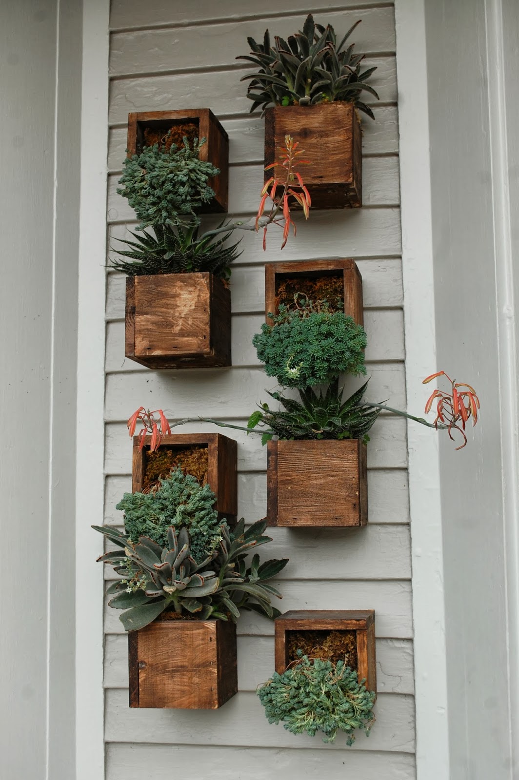 Sprouts Flowers Around Town Beautiful Kennebunkport, Maine