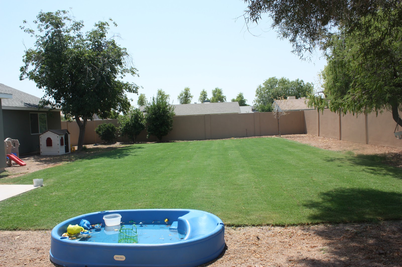 Joy: Backyard - We have grass!