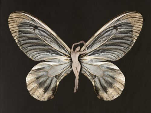 carsten witte mulheres nuas peladas como borboletas asas psique