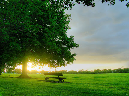 Gambar taman yang indah