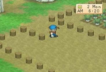 How To Get Tools In Harvest Moon Back To Nature