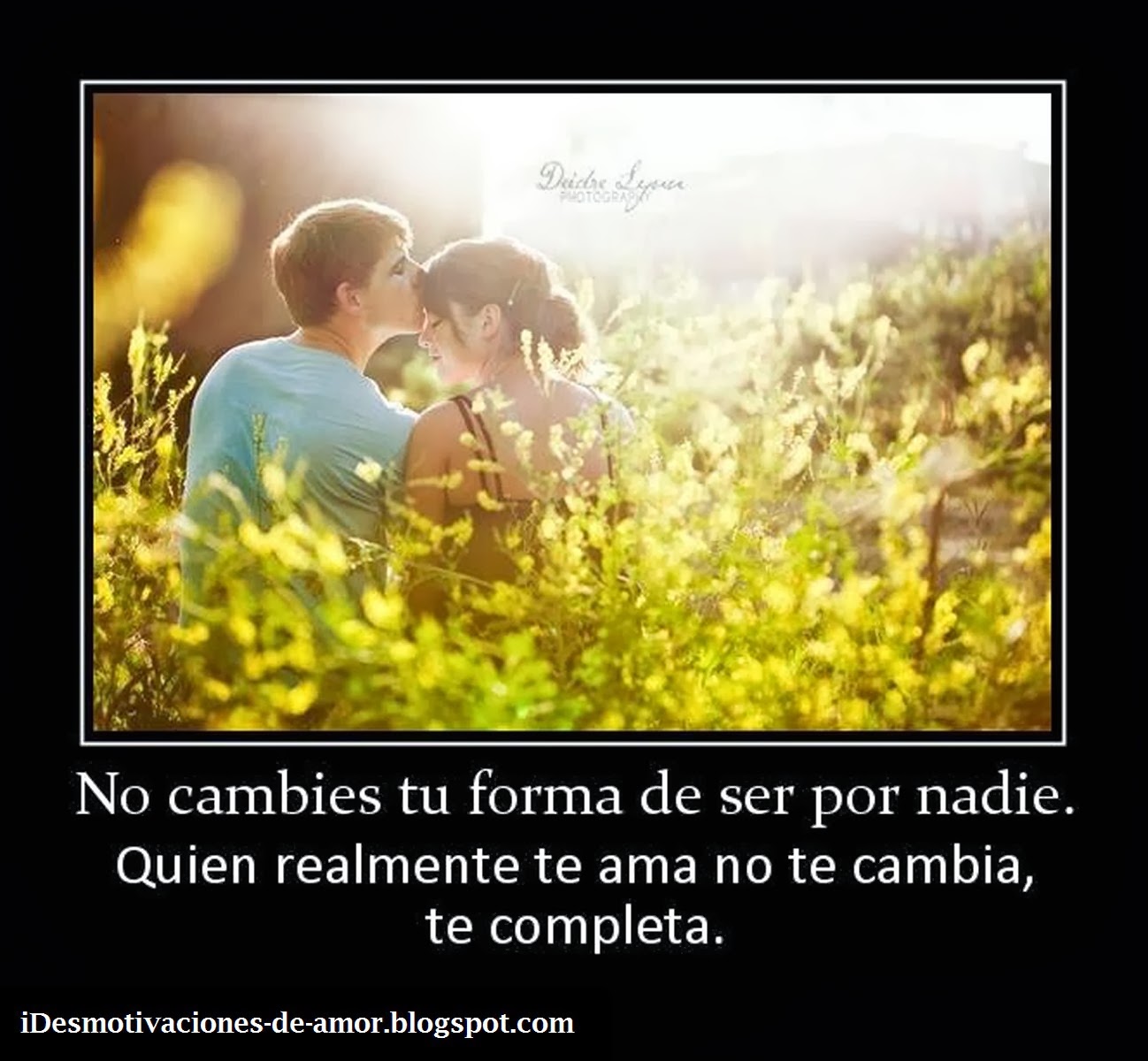 amor anime amor anime