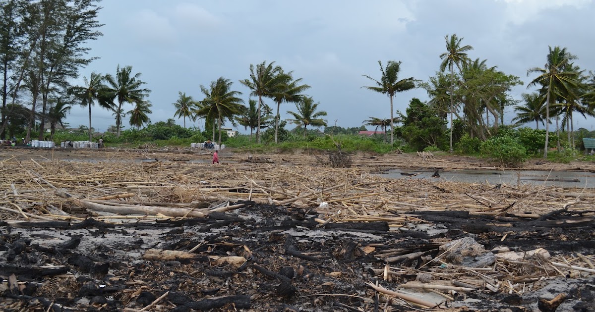 Essay bengkulu 04 picture