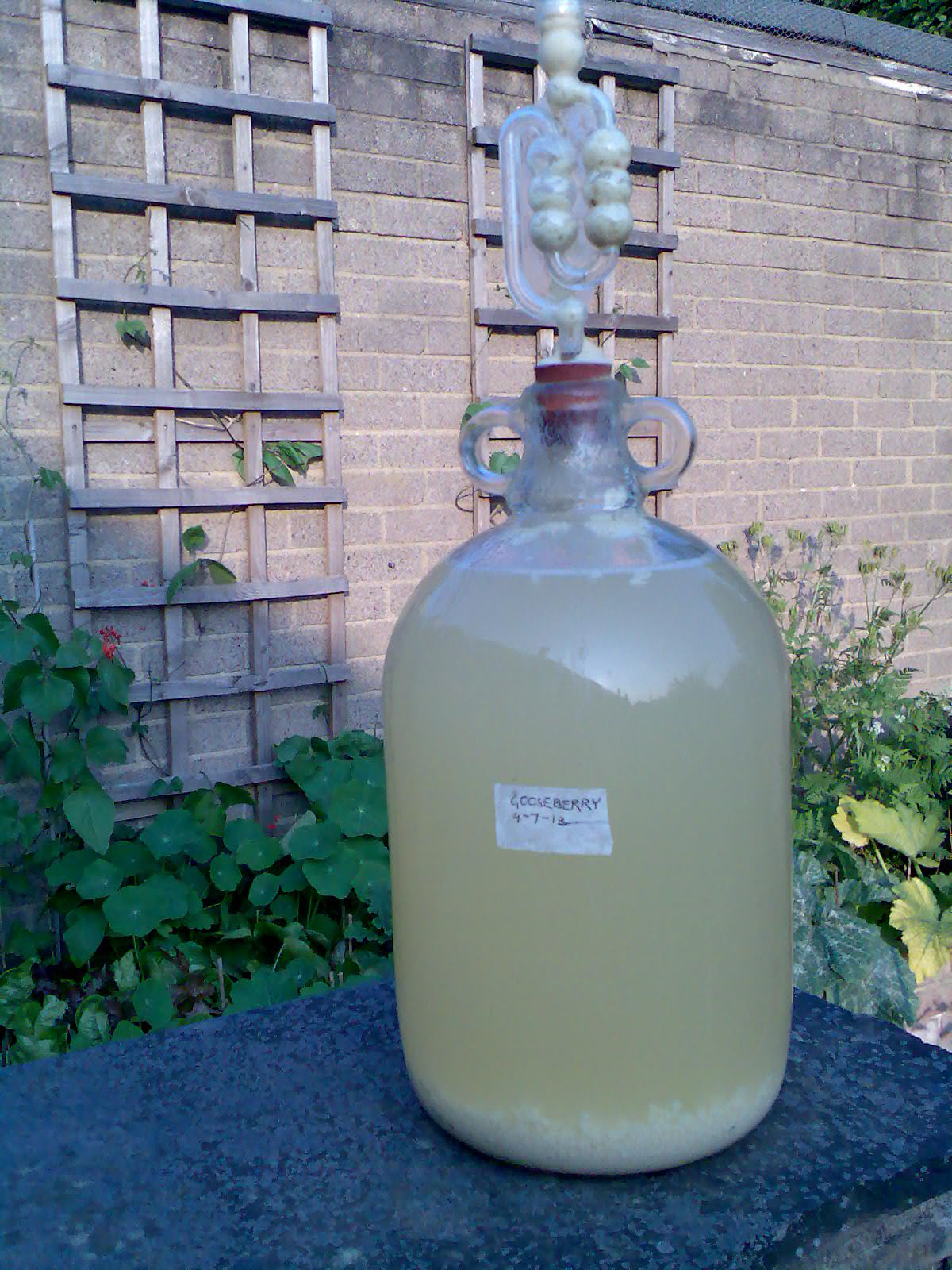 Delicious gooseberry wine 53 Delicious gooseberry wine 49