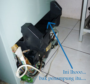 februari 2013 sci