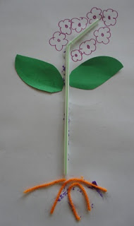 science plant preschool experiments parts plants flower activities kindergarten crafts diagram learning preschoolers projects cycle part spring craft learners bloom