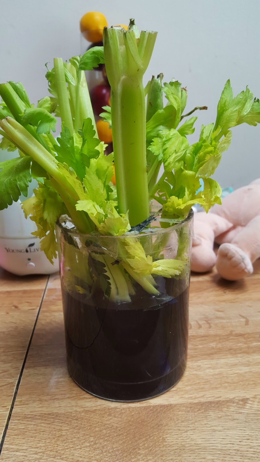 Chicken Nugget Mom Celery Magic!