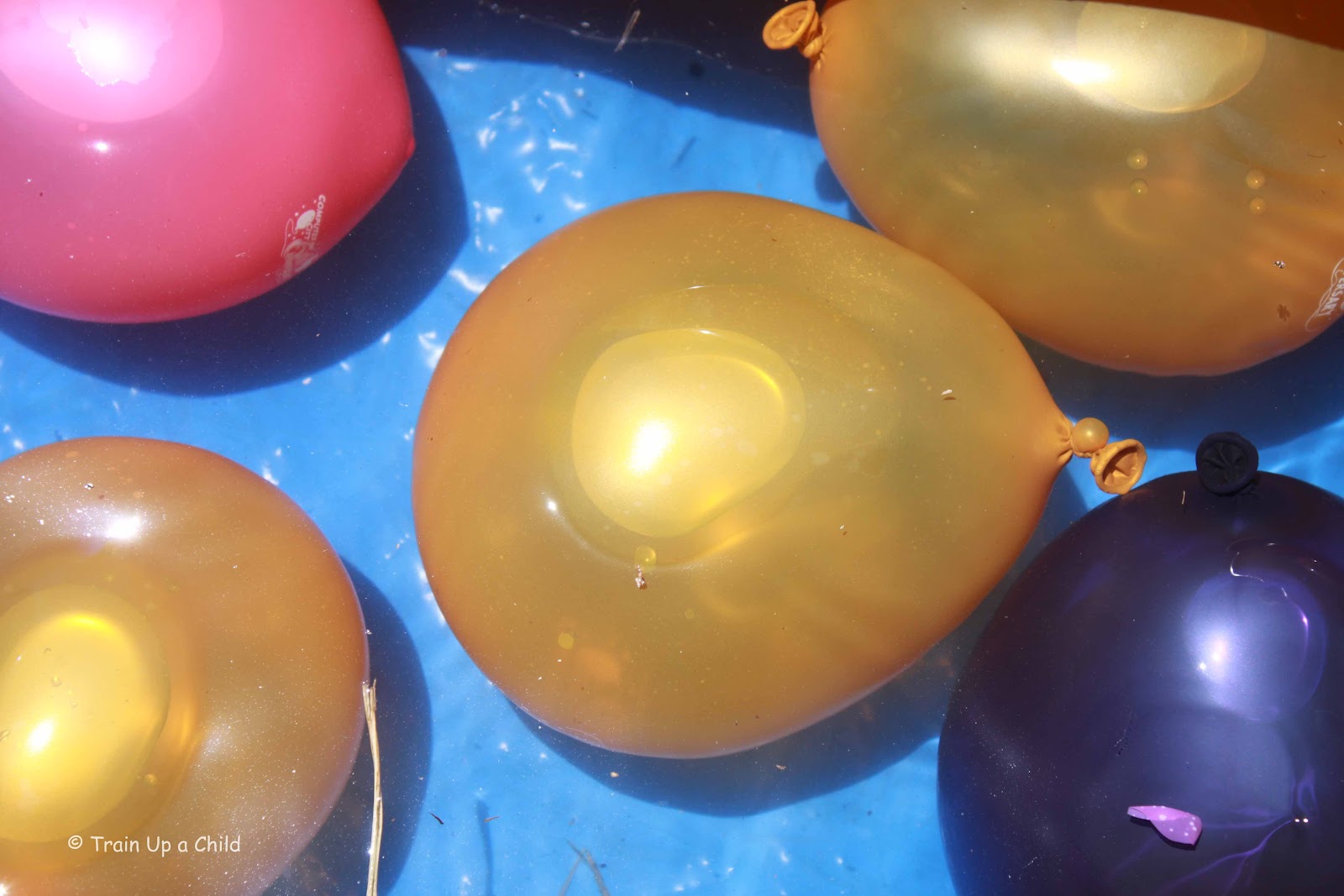 Outdoor Water Balloon and Play Pool Fun! Learn Play Imagine